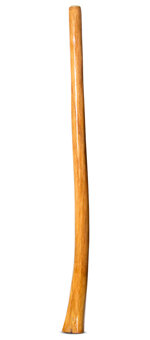 Gloss Finish Didgeridoo (TW1268)